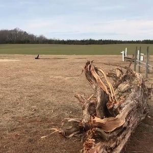 Meet your Posher, Garnett